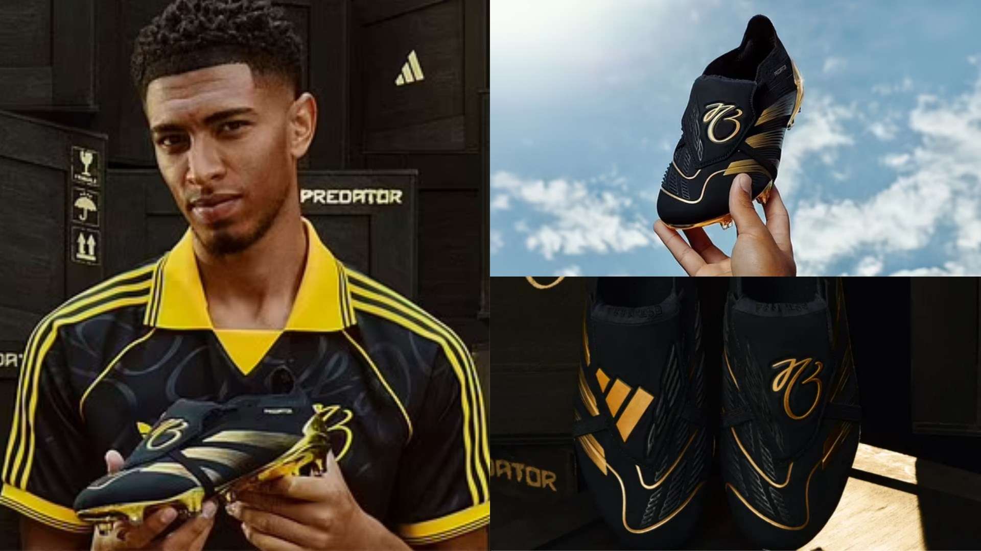 借鉴这些成 借鉴这些成