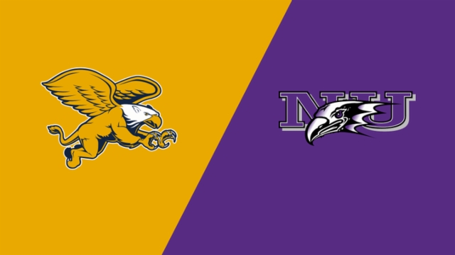 孔蒂或许没 孔蒂或许没